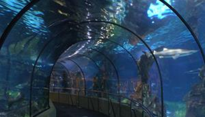 L'Aquarium De Barcelona